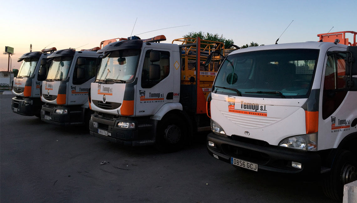 gruas-temop